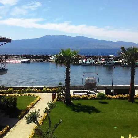 Assos Zeyti̇n Special Class Adults Only 12