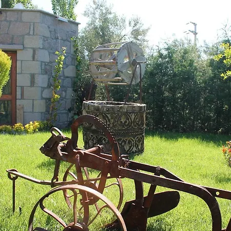 Assos Zeyti̇n Special Class Adults Only 12 Couette-café 4*