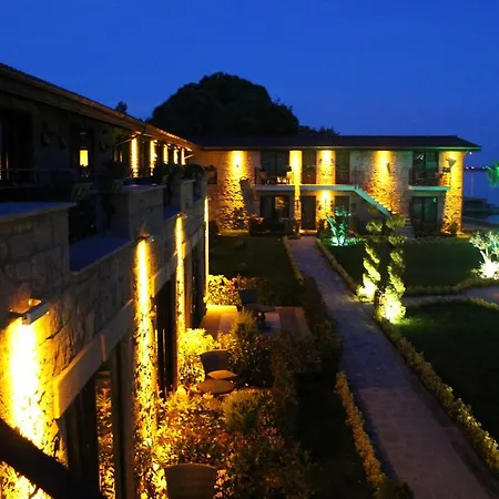 Assos Zeyti̇n Special Class Adults Only 12 4* Sokakagzi