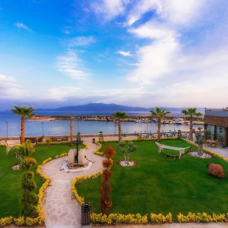 Assos Zeyti̇n Special Class Adults Only 12 4*
