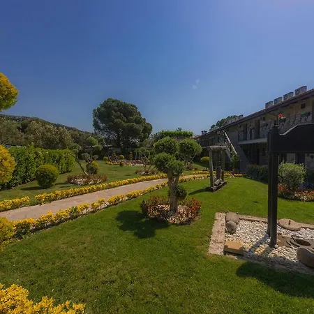 Assos Zeyti̇n Special Class Adults Only 12 Bed and breakfast