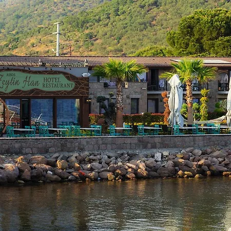 Assos Zeyti̇n Special Class Adults Only 12 Bed & Breakfast