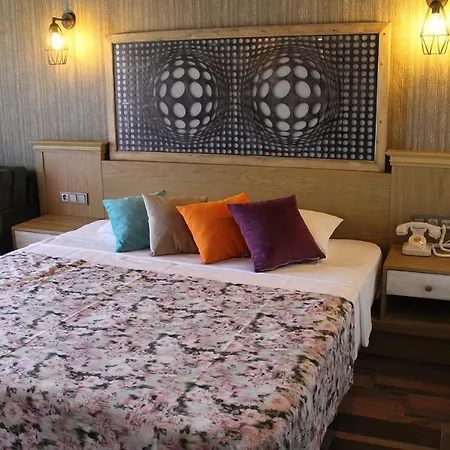 Assos Zeyti̇n Special Class Adults Only 12 Sokakagzi