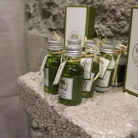 Assos Zeyti̇n Special Class Adults Only 12 Couette-café 4*