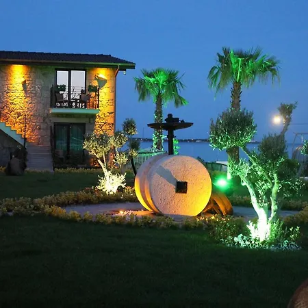 Assos Zeyti̇n Special Class Adults Only 12 Bed & Breakfast