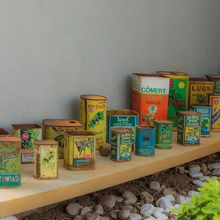 Assos Zeyti̇n Special Class Adults Only 12 4* Sokakagzi