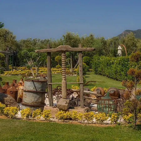 Assos Zeyti̇n Special Class Adults Only 12 Bed and breakfast