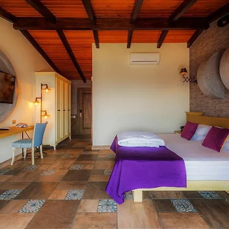 Bed & Breakfast Assos Zeyti̇n Special Class Adults Only 12