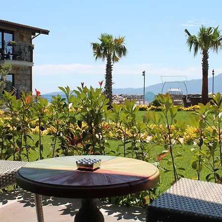 Assos Zeyti̇n Special Class Adults Only 12 4* Sokakagzi