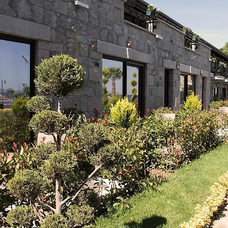 Assos Zeyti̇n Special Class Adults Only 12