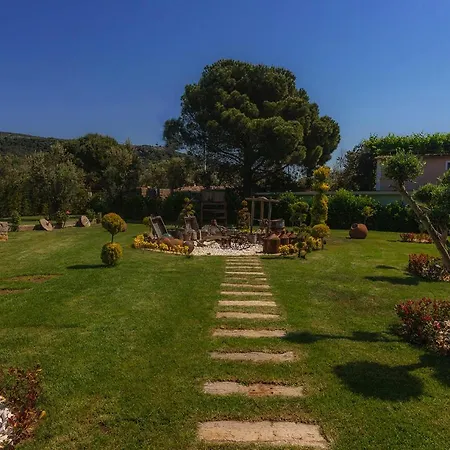 Assos Zeyti̇n Special Class Adults Only 12