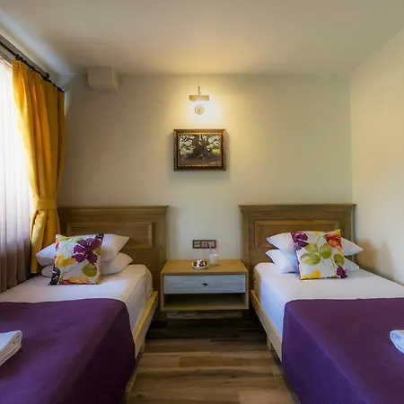 Bed & Breakfast Assos Zeyti̇n Special Class Adults Only 12