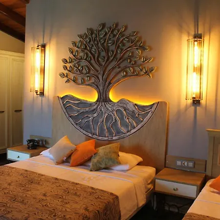 Assos Zeyti̇n Special Class Adults Only 12