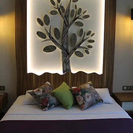 Assos Zeyti̇n Special Class Adults Only 12