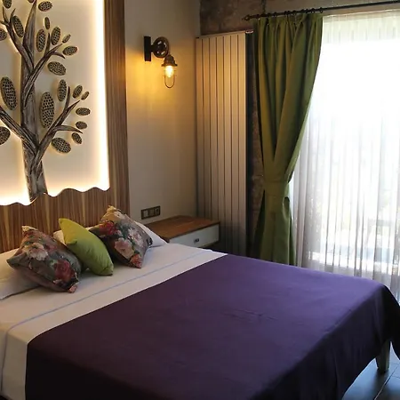 Assos Zeyti̇n Special Class Adults Only 12 Bed and breakfast