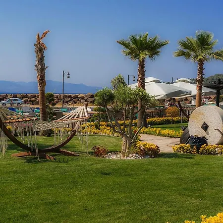 Assos Zeyti̇n Special Class Adults Only 12 Bed and breakfast 4*