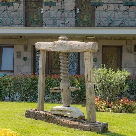 Assos Zeyti̇n Special Class Adults Only 12