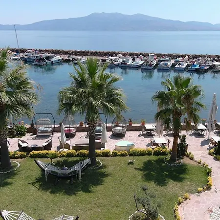 Assos Zeyti̇n Special Class Adults Only 12 4* Sokakagzi