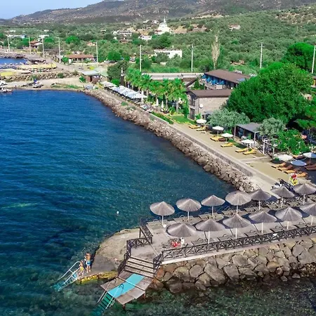 Assos Zeyti̇n Special Class Adults Only 12 Bed & Breakfast