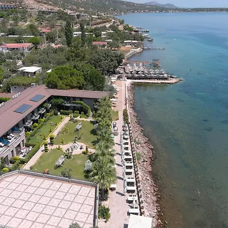 Assos Zeyti̇n Special Class Adults Only 12 Sokakagzi