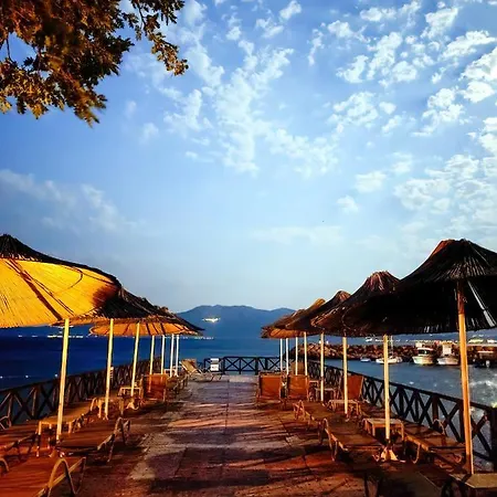 Assos Zeyti̇n Special Class Adults Only 12 4* Sokakagzi