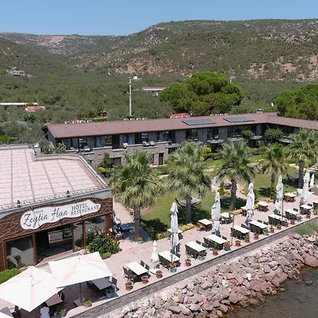 Assos Zeyti̇n Special Class Adults Only 12