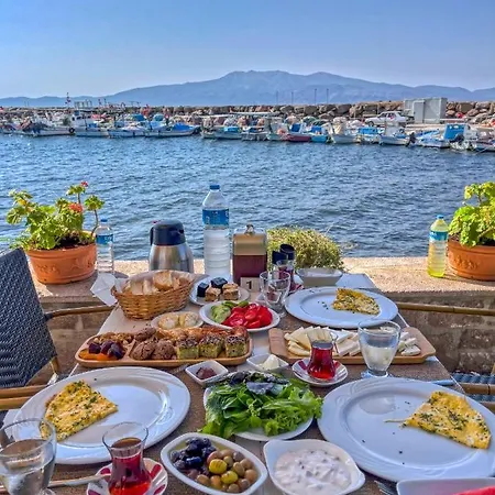 Assos Zeyti̇n Special Class Adults Only 12 Bed & Breakfast 4*