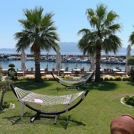 Assos Zeyti̇n Special Class Adults Only 12 Sokakagzi