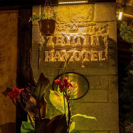 Assos Zeyti̇n Special Class Adults Only 12 4*