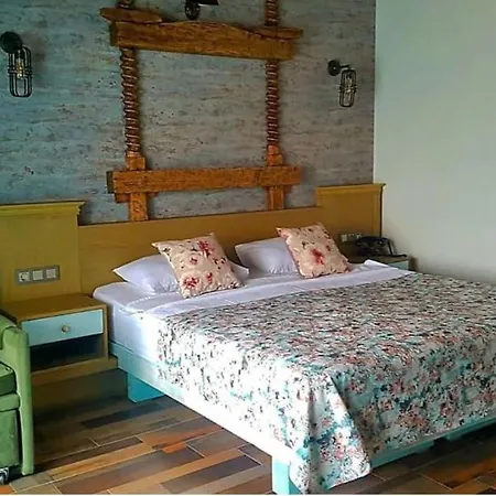 Assos Zeyti̇n Special Class Adults Only 12 Bed & Breakfast