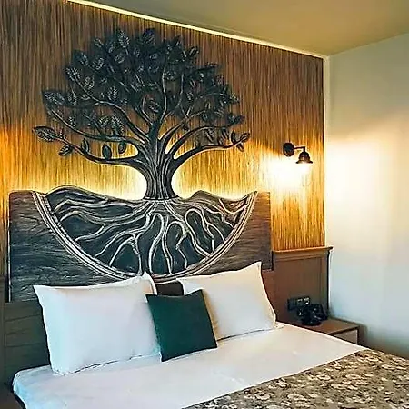 Bed & Breakfast Assos Zeyti̇n Special Class Adults Only 12 Sokakagzi
