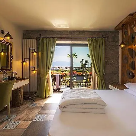 Assos Zeyti̇n Special Class Adults Only 12 Bed & Breakfast 4*