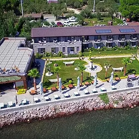 Assos Zeyti̇n Special Class Adults Only 12 4* Sokakagzi