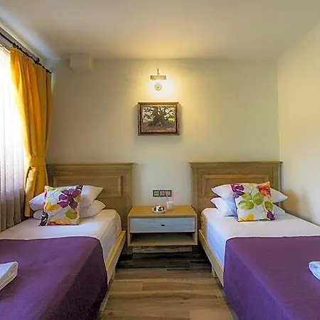 Assos Zeyti̇n Special Class Adults Only 12 Bed & Breakfast Sokakagzi