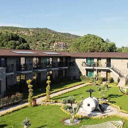 Assos Zeyti̇n Special Class Adults Only 12